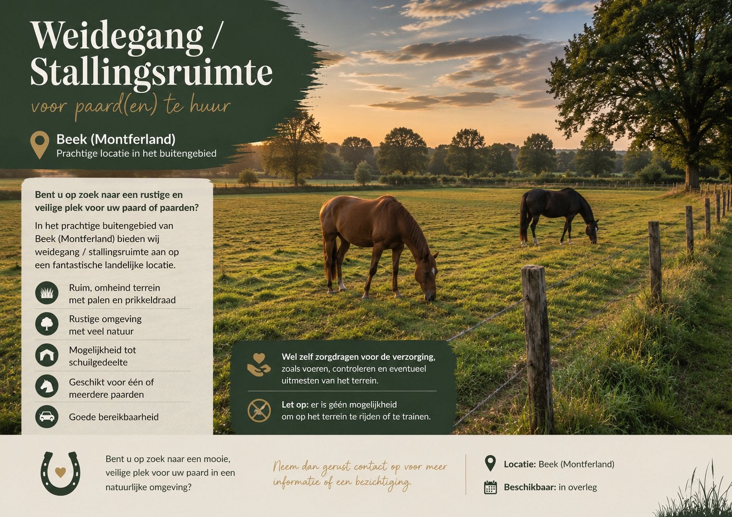 Aangeboden; Weidegang / Stallingruimte voor Paard(en) - Beek, Dieren en Toebehoren, Stalling en Weidegang, Weidegang