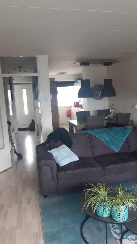 NIEUW! Woonruimte te huur Bellatrixstraat, IJmuiden, Huizen en Kamers