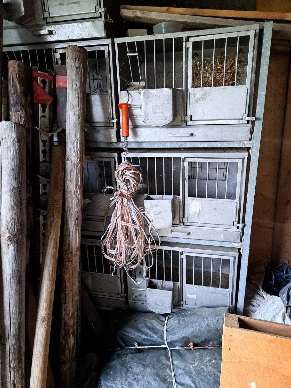 6 Inox konijnenhokken op rek, Kooi, Gebruikt, Minder dan 75 cm, Ophalen