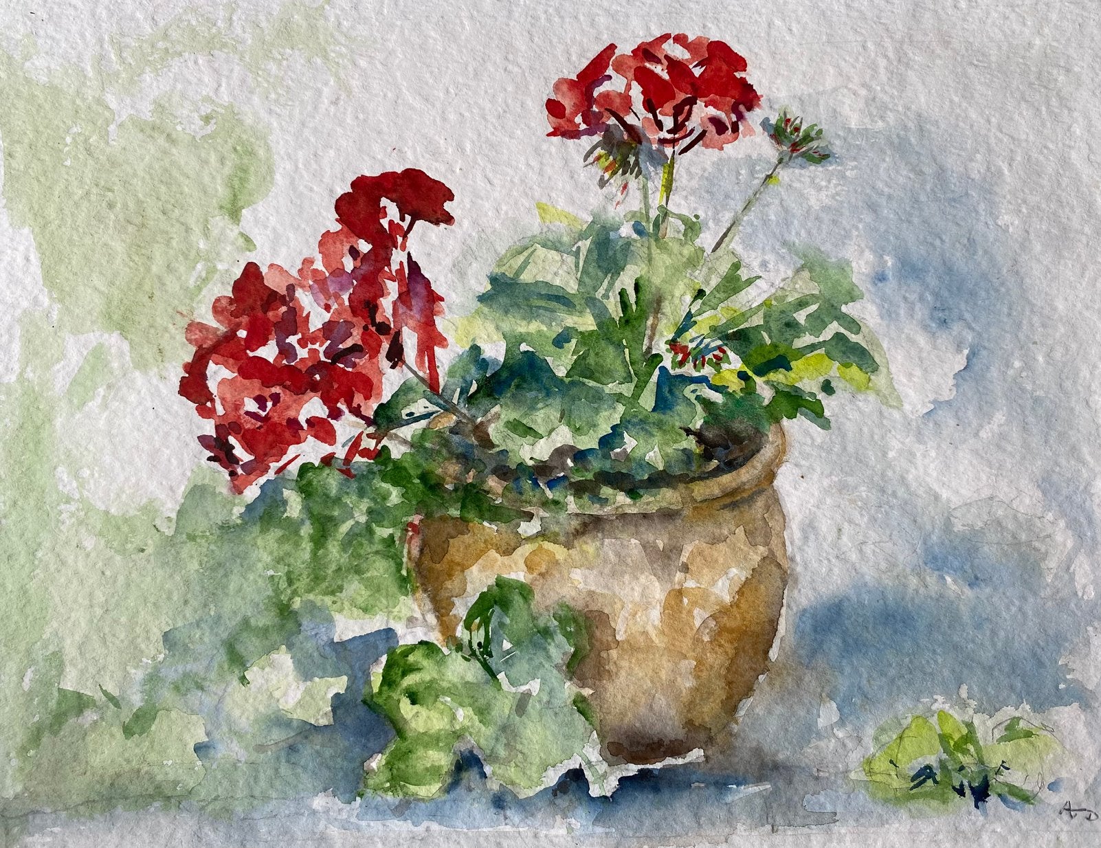Geranium Aquarel, Ophalen of Verzenden