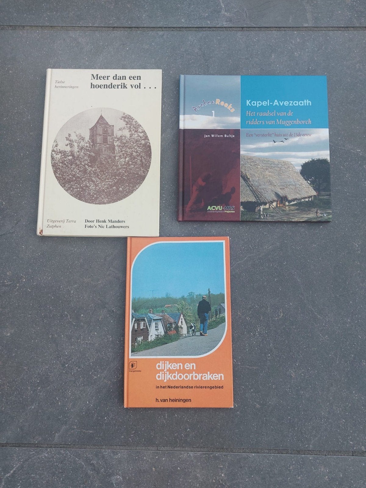 3 stad-en regioboeken varierend van 5€ tot 14,95€ Zie omschr, Ophalen of Verzenden
