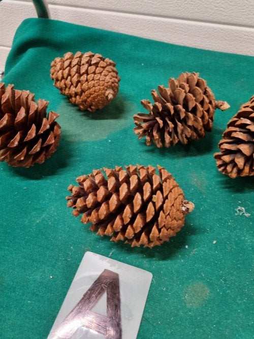 -	kerststukjes materiaal dennenappels noten, Diversen, Ophalen of Verzenden, 'T Olde Gre-j, Info@toldegrej.nl, Endepoelstraat 20f Didam