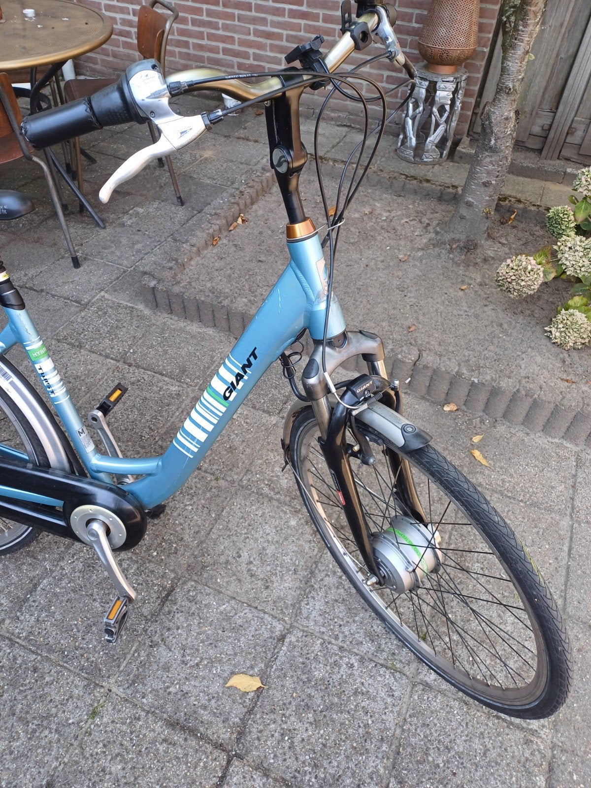 GIANT DAMESFIETS Doe een mooi bod, Fietsen en Brommers, Fietsen | Dames | Omafietsen, Ophalen