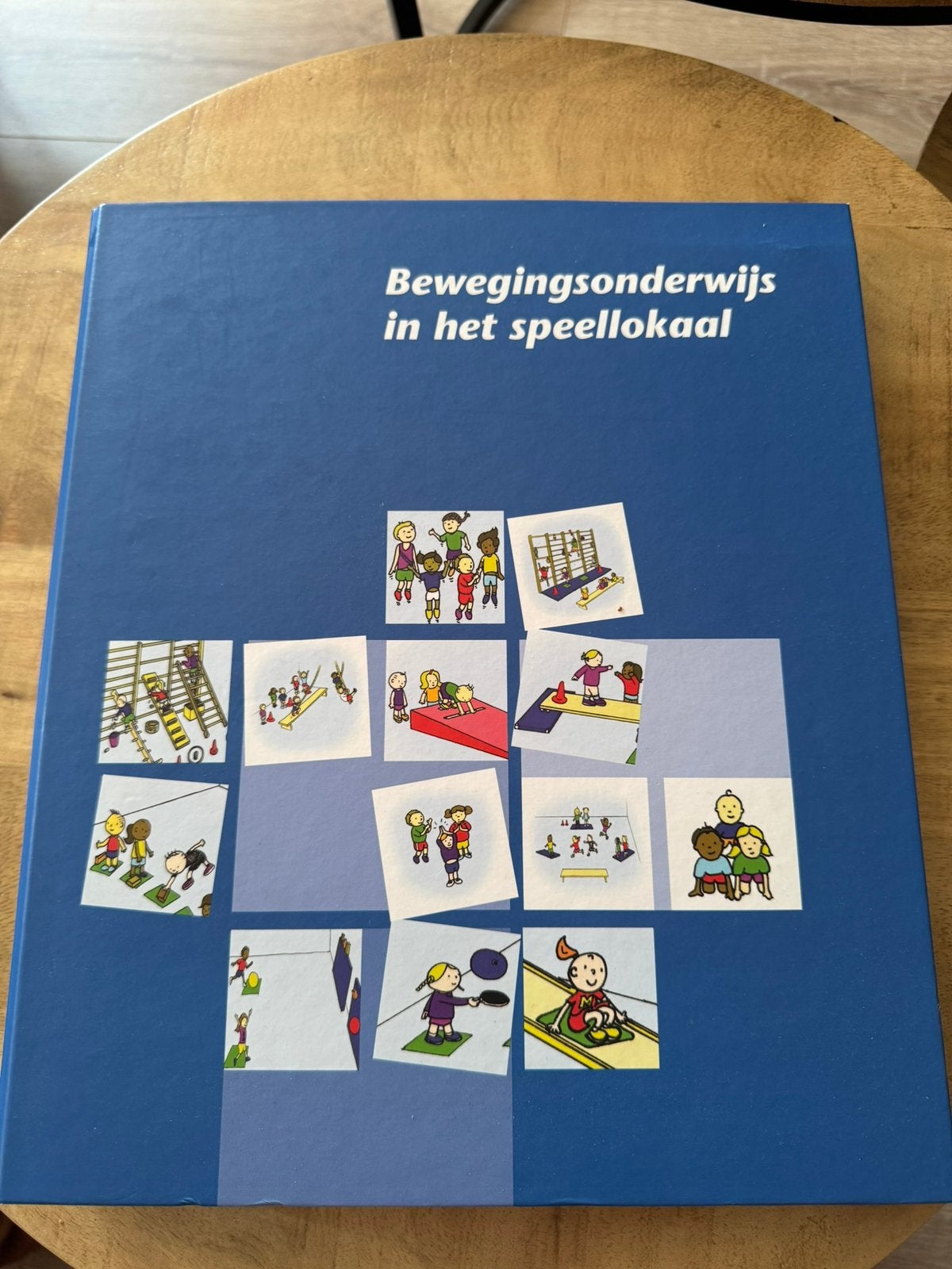 Bewegingsonderwijs in het speellokaal, Ophalen of Verzenden, Beta, Zo goed als nieuw, HBO