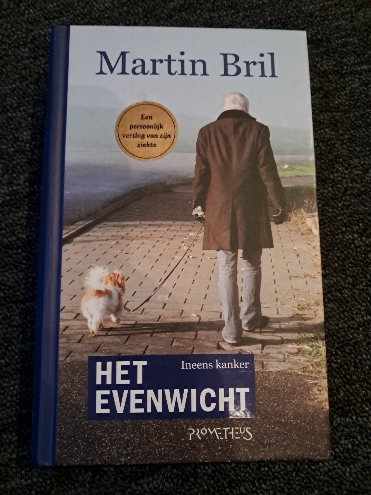Martin Bril - Het Evenwicht, Ophalen of Verzenden, Zo goed als nieuw, Martin Bril