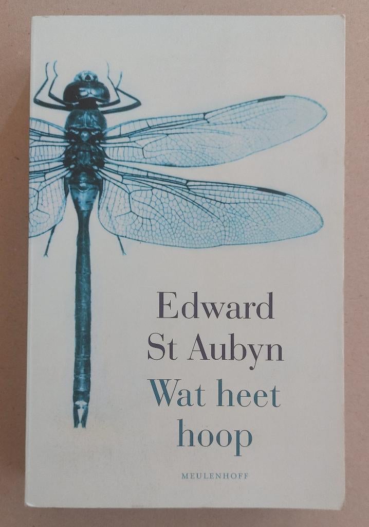 Wat heet hoop, Edward St Aubyn, Ophalen of Verzenden, Zo goed als nieuw, Edward St Aubyn, Europa overig