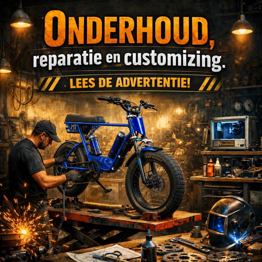 Fatbike achter veren te koop, Ophalen of Verzenden, Gebruikt, Fatbike, Staal