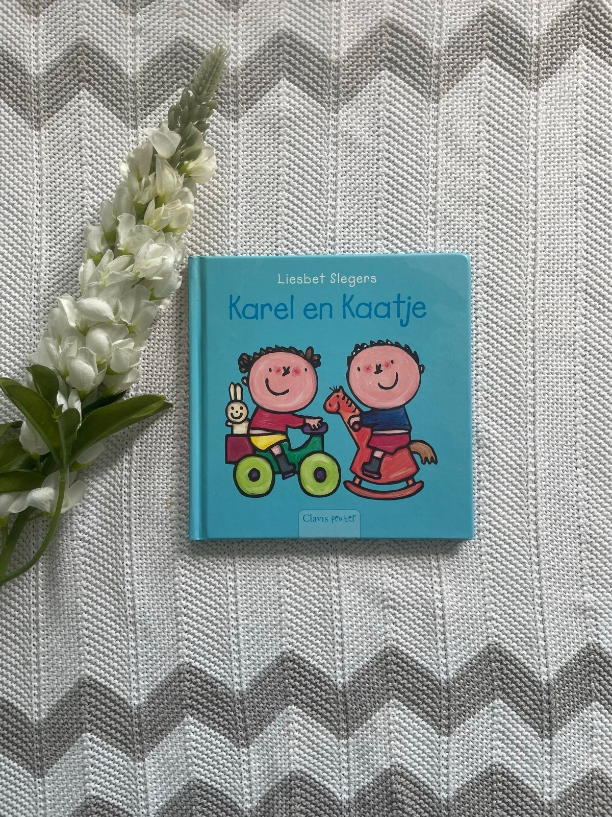 NIEUWstaat prentenboek: Karel en Kaatje van Liesbet Slegers, Ophalen of Verzenden, Nieuw, 2 tot 3 jaar