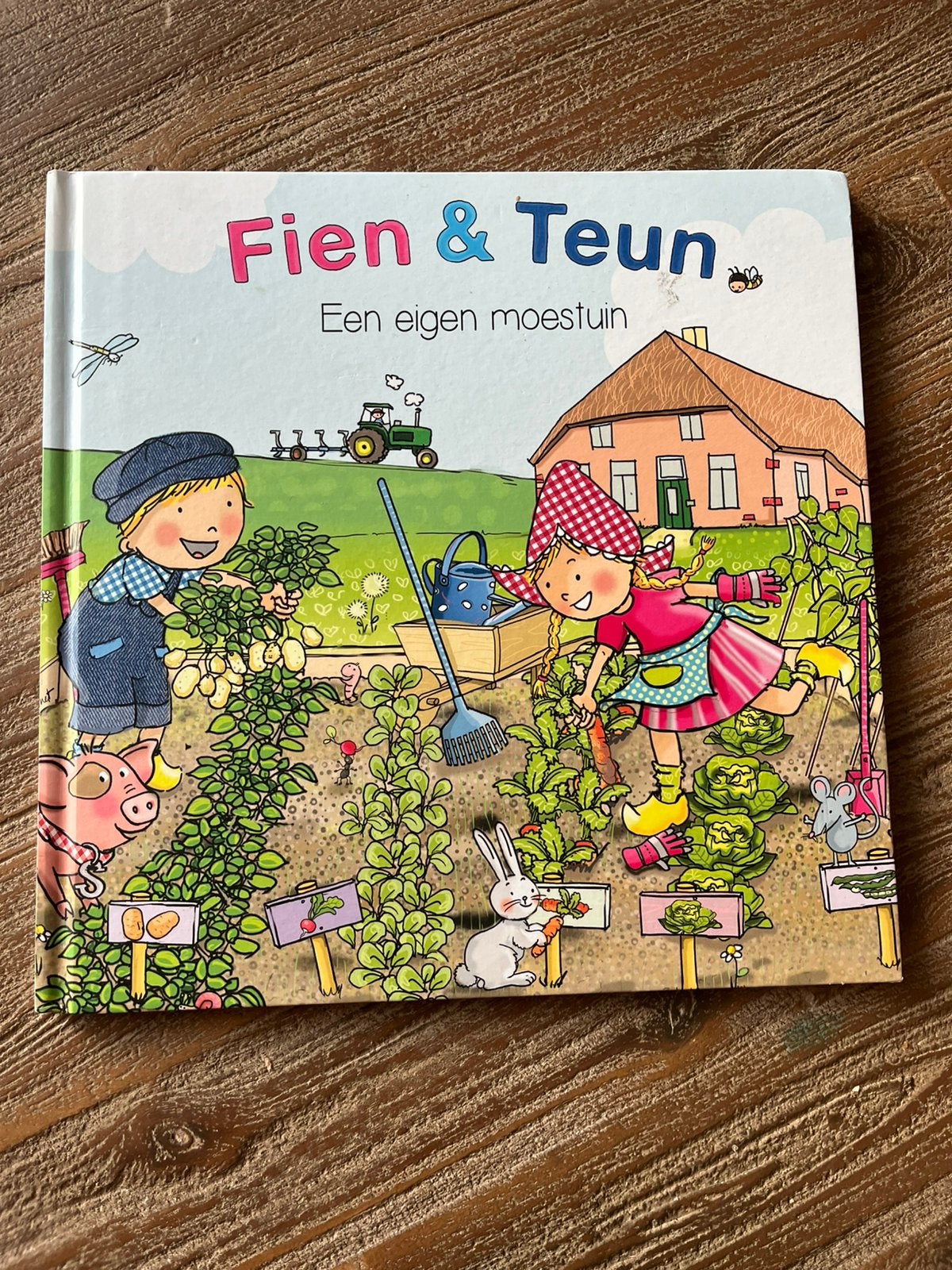 Fien & Teun een eigen moestuin, Ophalen of Verzenden, Zo goed als nieuw, Van Hoorne Entertainment B.V.