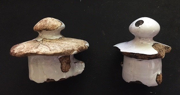 Wit Delfts Aardewerk Deksel Kan Bodemvondst, Antiek en Kunst, Antiek | Keramiek en Aardewerk, Ophalen of Verzenden