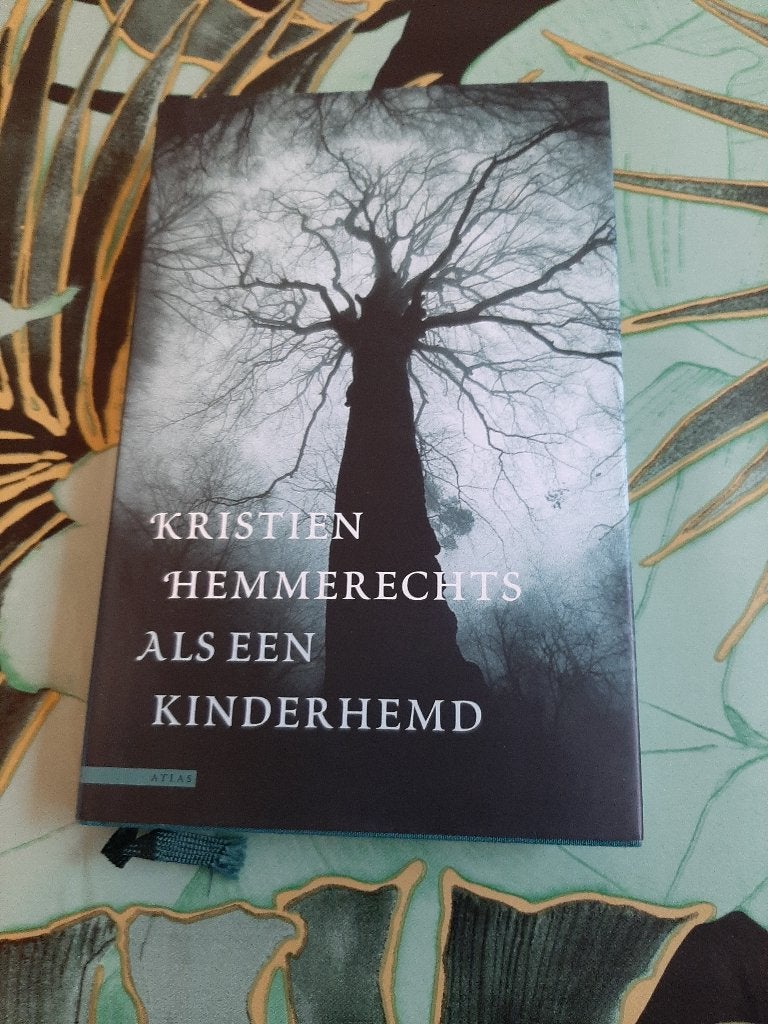 Kristien Hemmerechts Als een kinderhemd, Boeken, Romans, Zo goed als nieuw, Ophalen of Verzenden