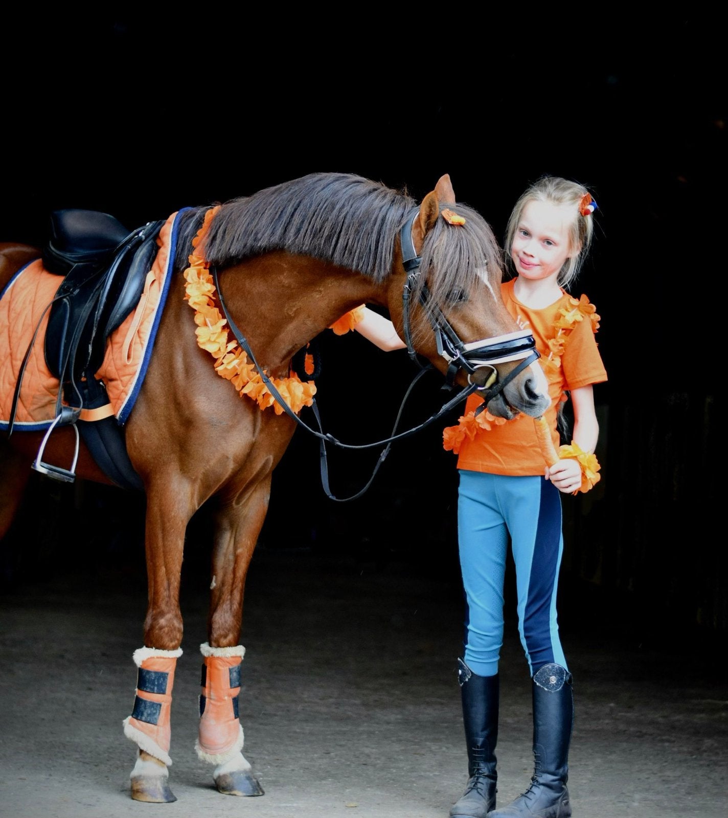 ⭐️Lieve C pony! Geschikt voor beginners!, Ruin, 3 tot 6 jaar