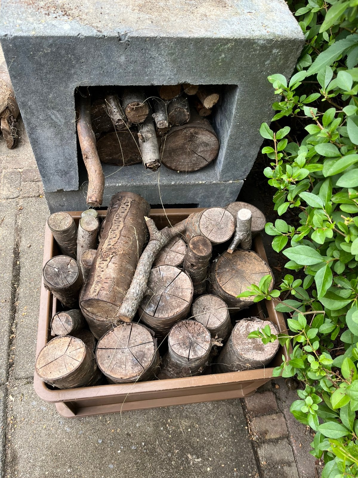 Partijtje hout, Tuin en Terras, Ophalen, Gebruikt