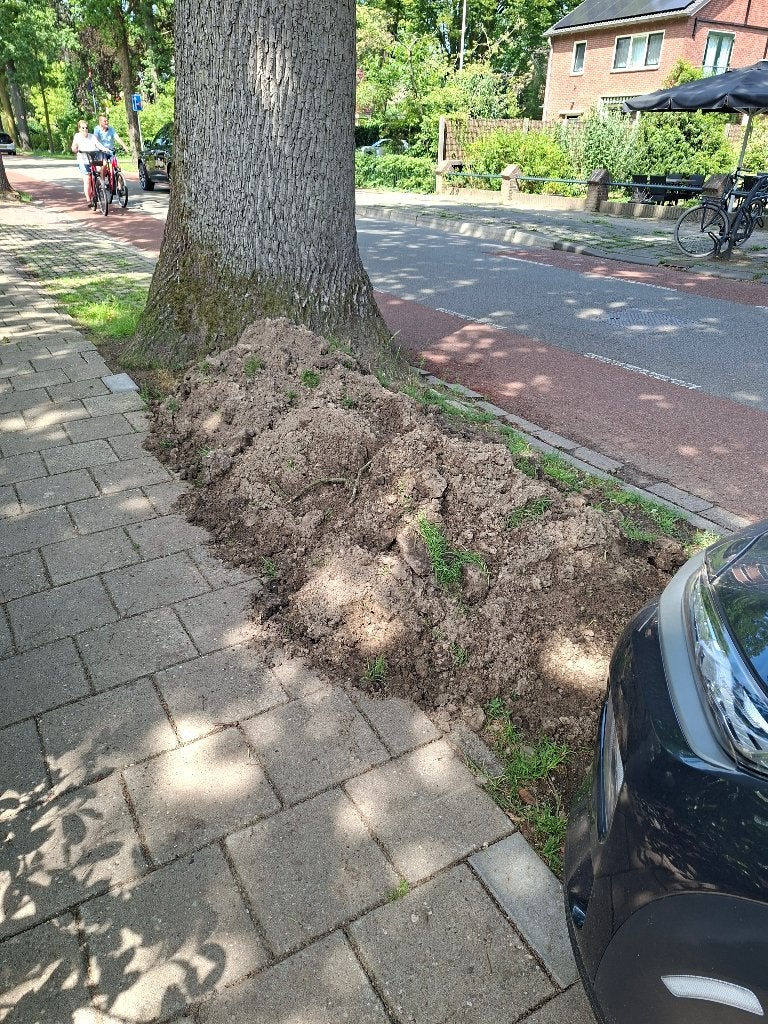 Gratis tuingrond, Tuin en Terras, Ophalen, Tuinaarde