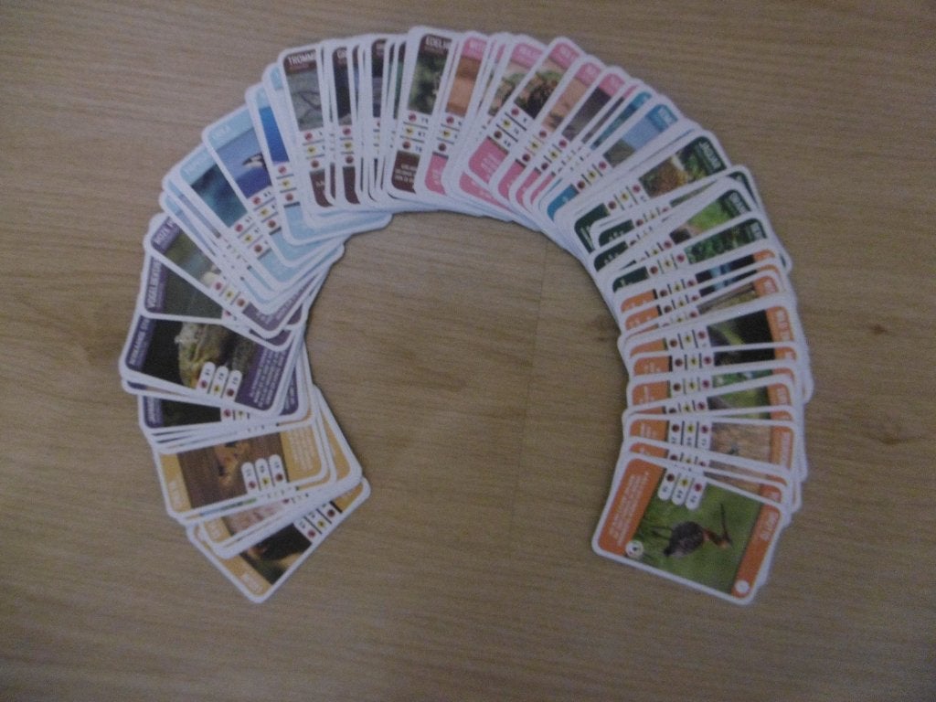 AH dierenkaartjes 2024 (Freek Vonk):, Albert Heijn, Ophalen of Verzenden