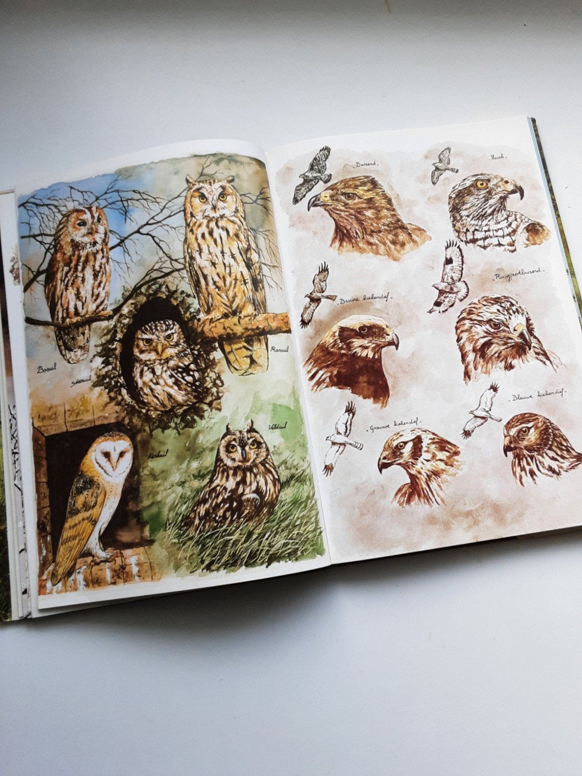 Dieren op het spoor Mouw-Bulder tekeningen, Ophalen of Verzenden, Album of Boek