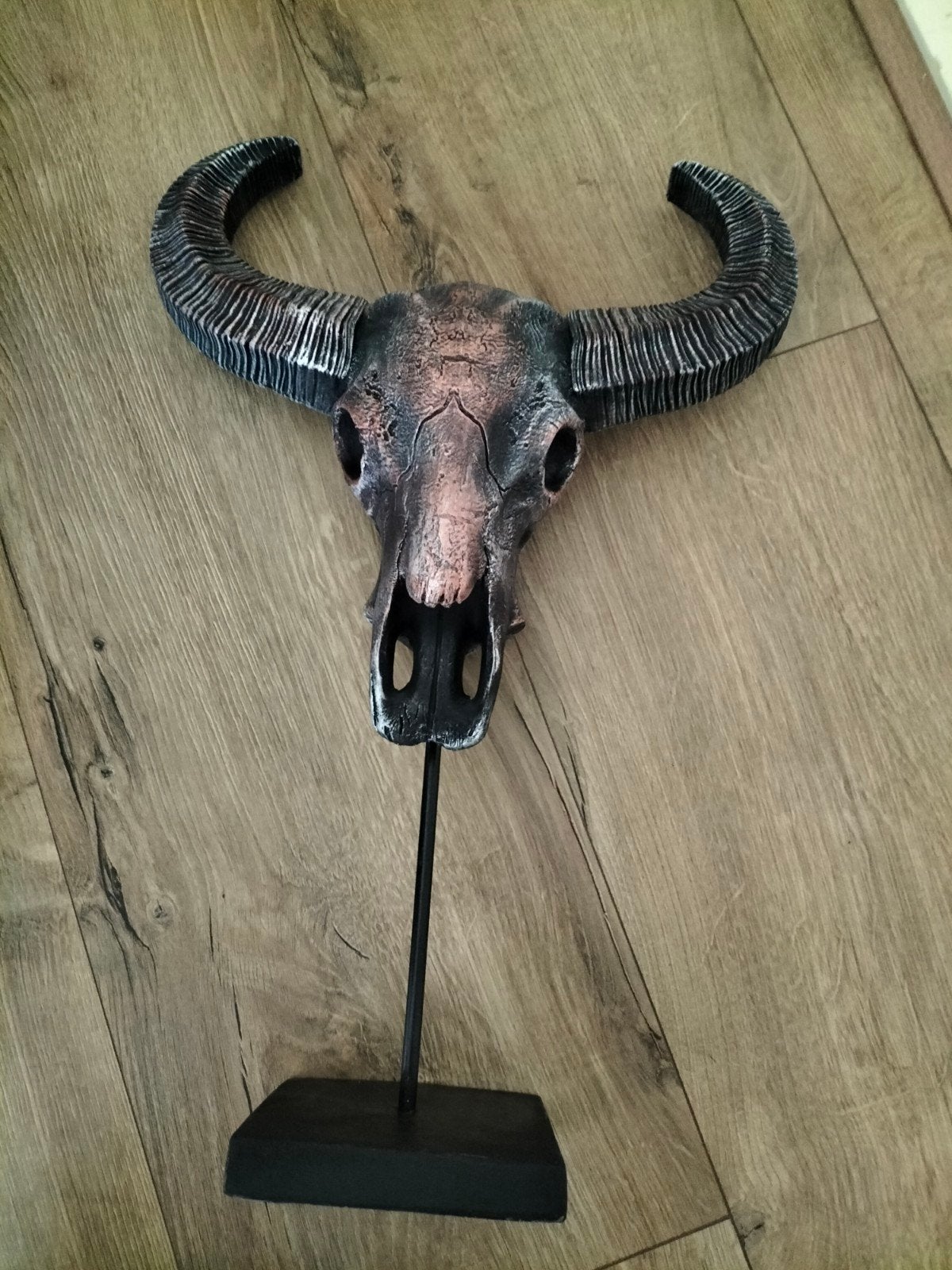 Schedel op standaard, Ophalen