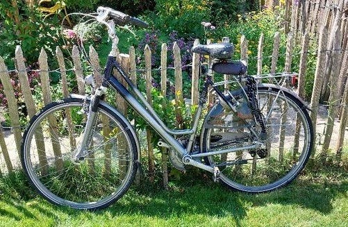 Koga Miyata Distance Damesfiets, Velgrem, Versnellingen, Ophalen, Overige merken