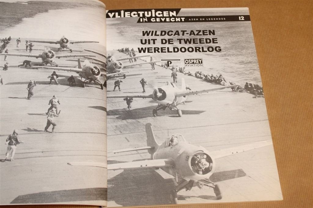 Wildcat-Azen — Gevechtsvliegers uit de 2e Wereldoorlog, Gebruikt, Schaalmodel, -, -