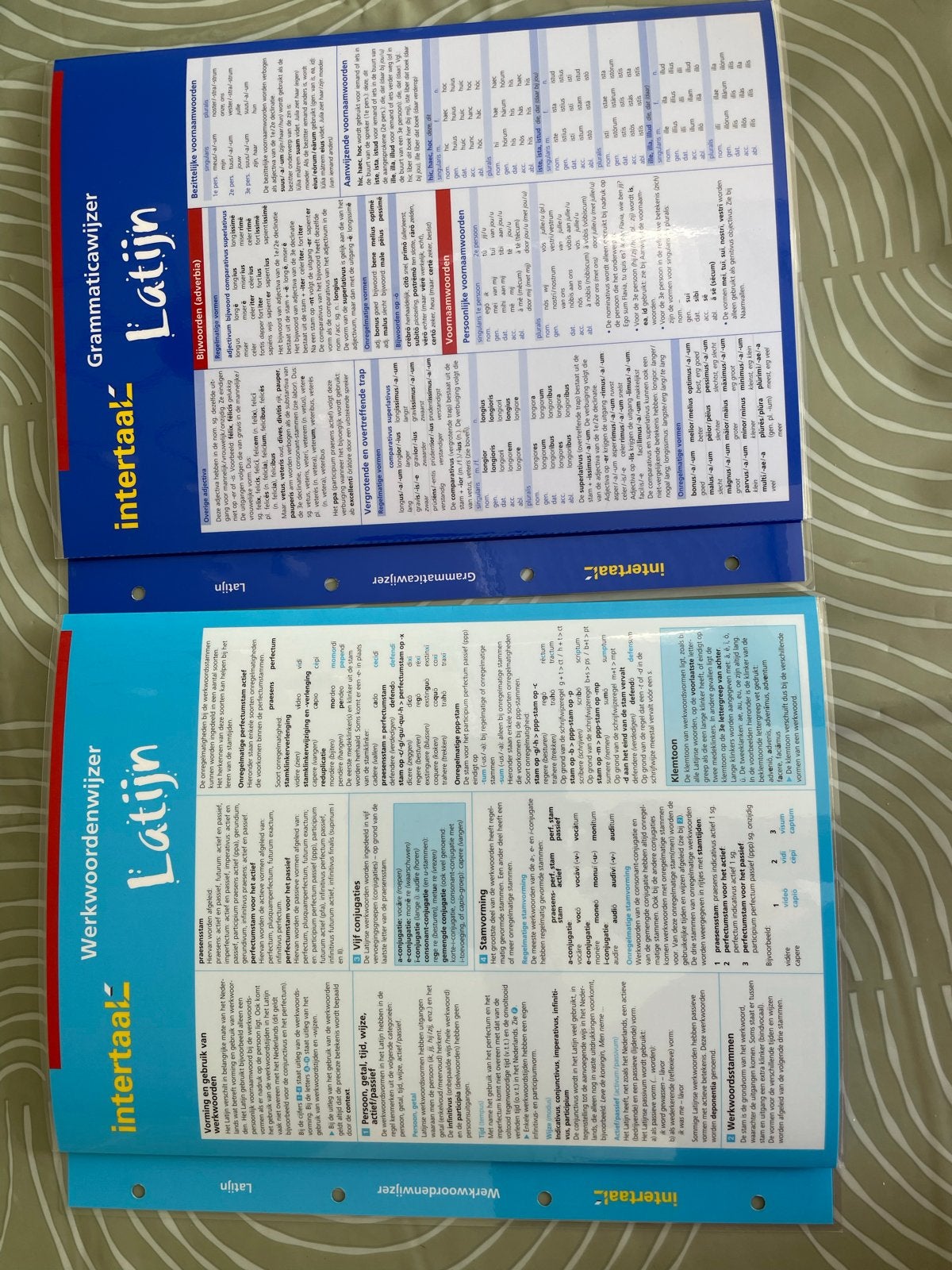 Intertaal Grammaticawijzer & Werkwoordenwijzer Latijn, Ophalen of Verzenden, Zo goed als nieuw, Non-fictie