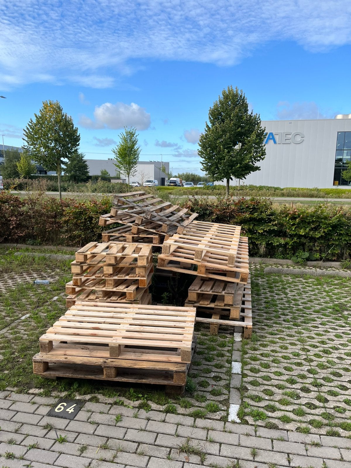 Houten pallets gratis, Ophalen, Overige houtsoorten, Minder dan 200 cm, Pallet