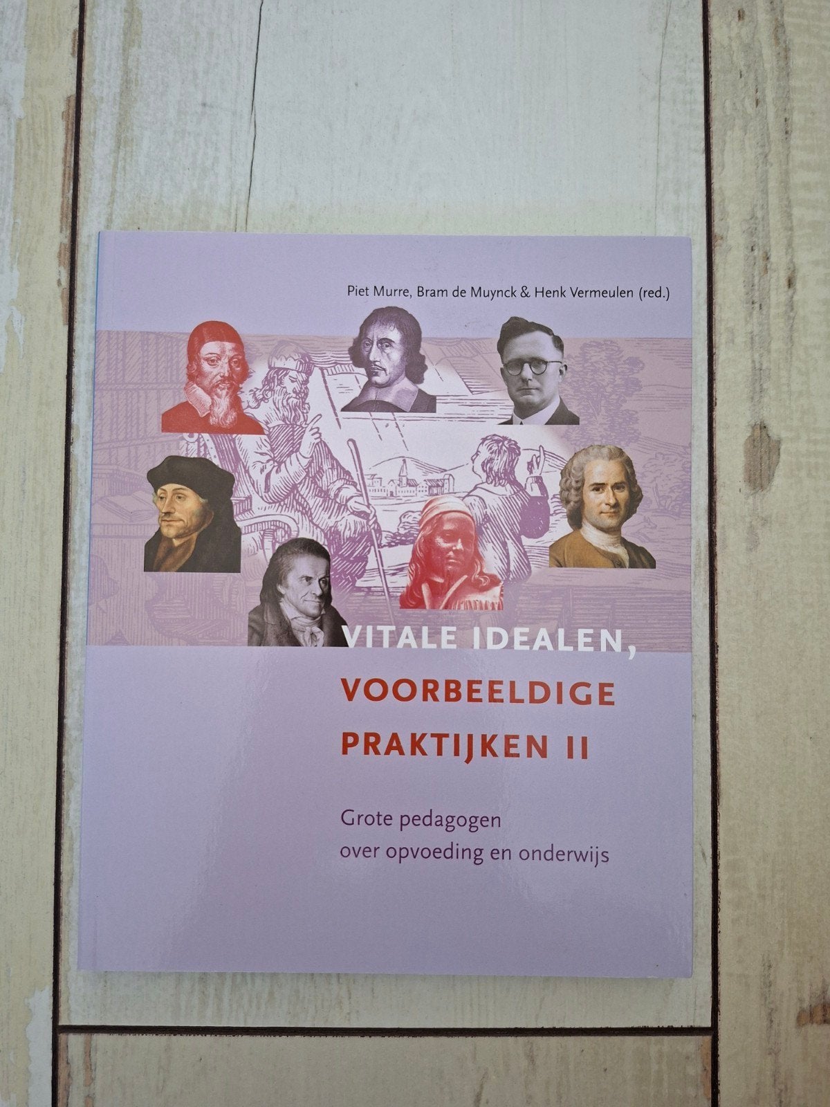 Vitale idealen, voorbeeldige praktijken II, Boeken, Ophalen of Verzenden, Zo goed als nieuw, Sociale wetenschap