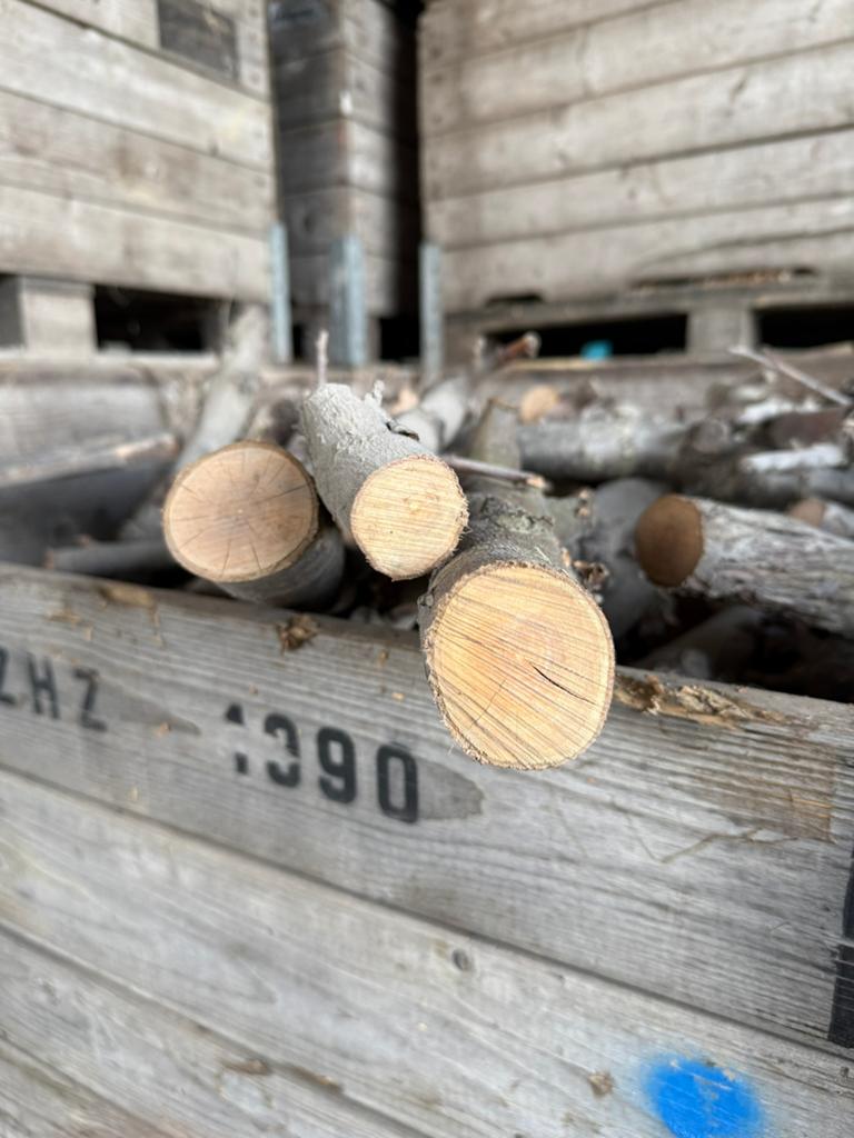 Hout, Tuin en Terras, Haardhout, Minder dan 3 m³, Ophalen of Verzenden