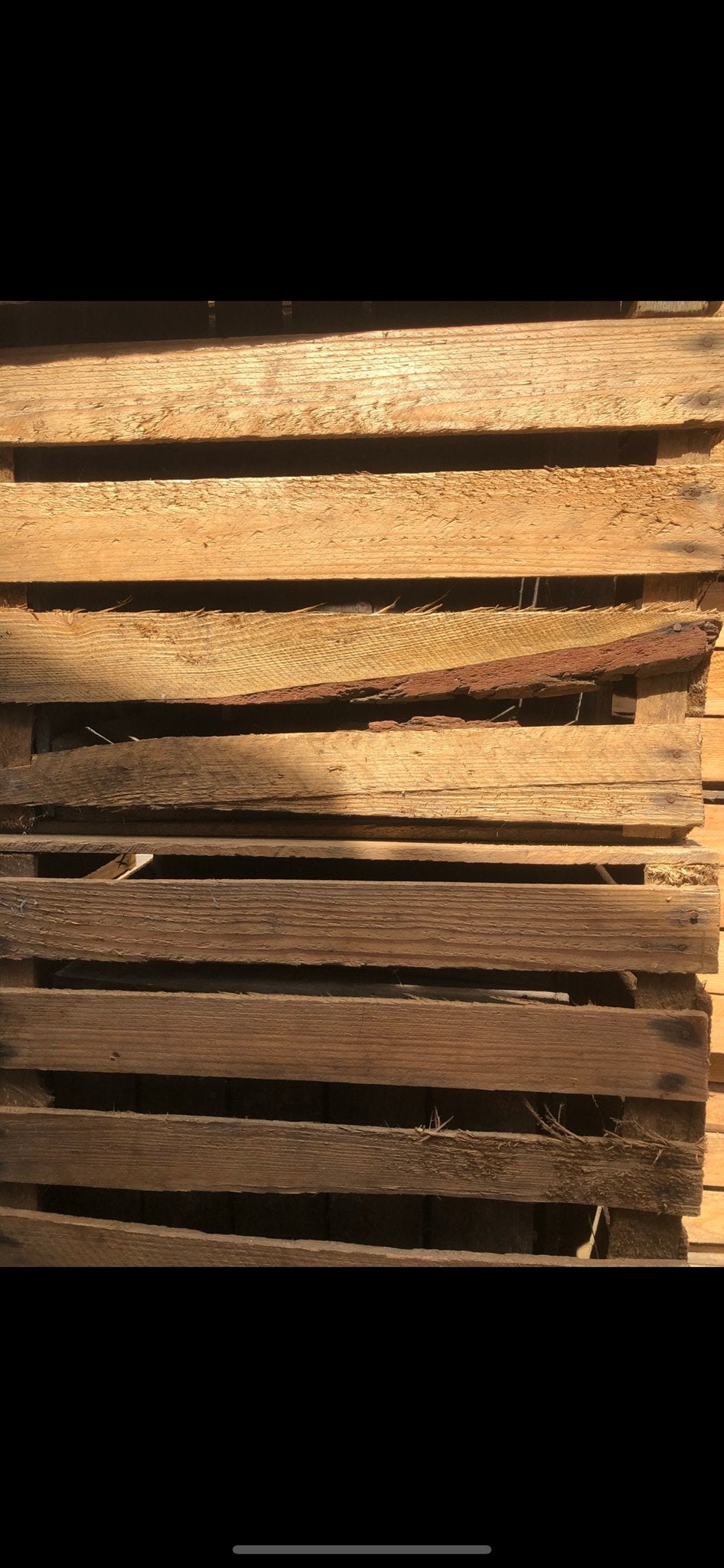 25 stuks Fruitkisten B keuze, Ophalen, Gebruikt, 50 tot 100 cm, 5 – 50