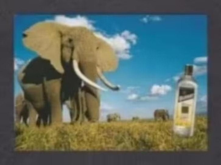 Olifant Jonge Graanjenever Reclame Gall en Gall., Ophalen of Verzenden, 1980 tot heden, Ongelopen, Wild dier