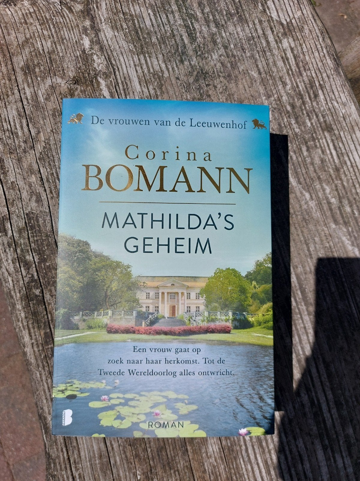Corina Bomann - Mathilda's Geheim (Zo goed als nieuw), Boeken, Ophalen