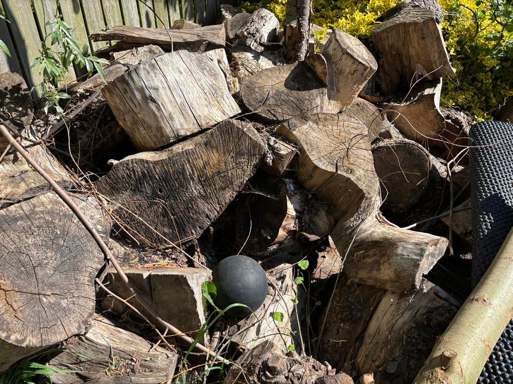 Verschillende soorten hout als stookhout, Tuin en Terras, Haardhout, 3 tot 6 m³, Ophalen, Overige houtsoorten, Blokken