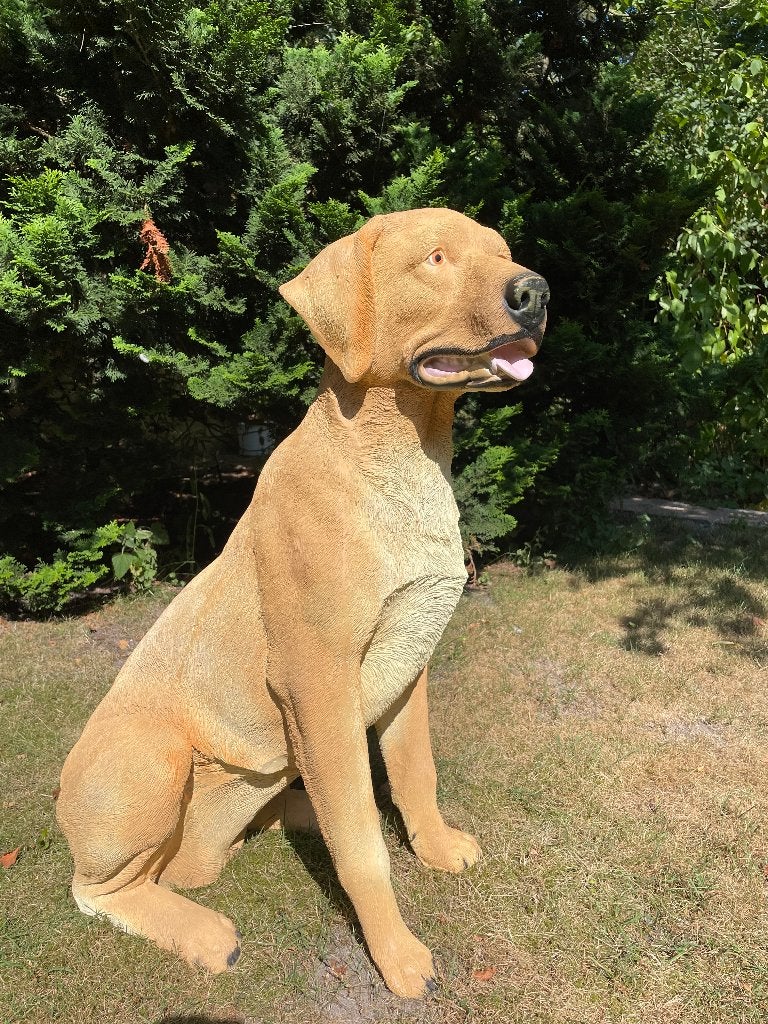 Jachthond labrador Retriever, dieren, tuin, vijver  80cm, Tuin en Terras, Ophalen, Nieuw, Kunststof, Dierenbeeld