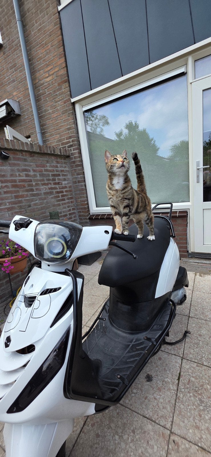 Piaggo zip 2011| loopt 60 km/H | start goed
