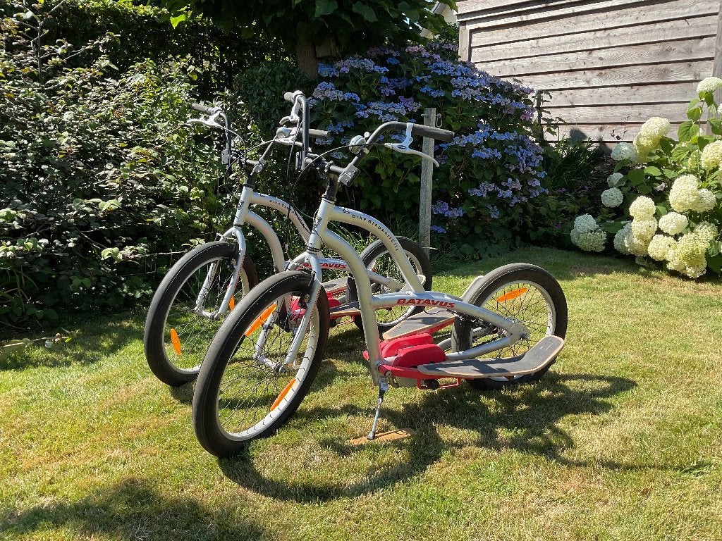 Bikestepper Batavus (2 stuks), Fietsen en Brommers, Steps, Ophalen, Gebruikt, Overige typen, Batavus