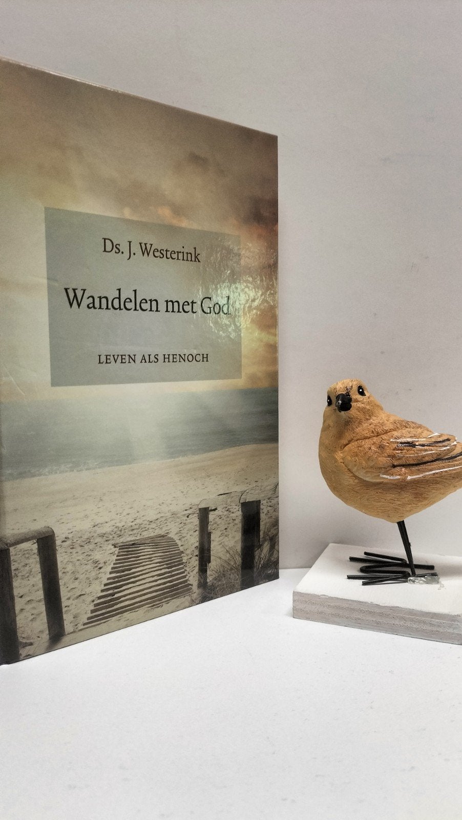 Westerink, Ds. J.; Wandelen met God (leven als Henoch), Boeken, Ophalen of Verzenden, Gelezen, Christendom | Protestants