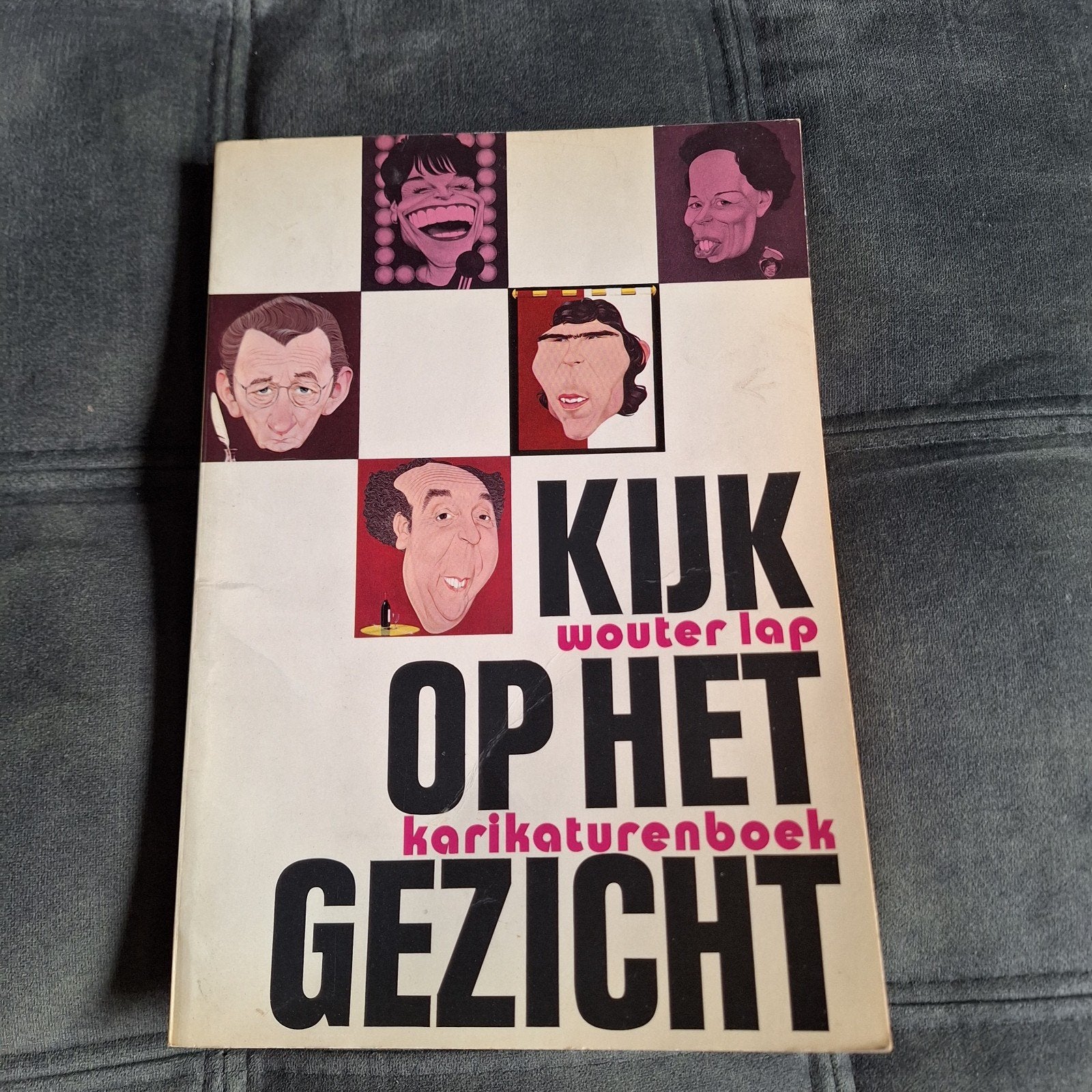 Kijk op het gezicht (Karikaturenboek) van Wouter Lap, Ophalen, Artiest