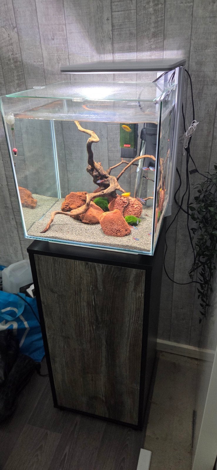 Aquarium 60 liter + onderkast & bestand, Ophalen, Zo goed als nieuw, Gevuld zoetwateraquarium