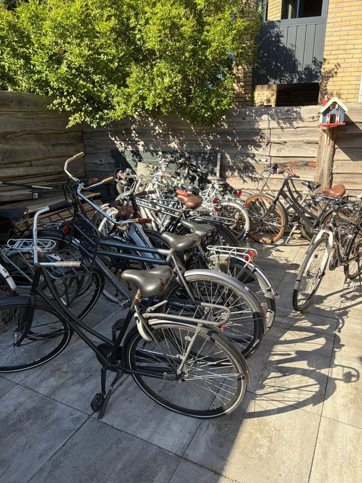 Grote partij fietsen, Ophalen, Handrem, Schijfrem, 53 tot 56 cm