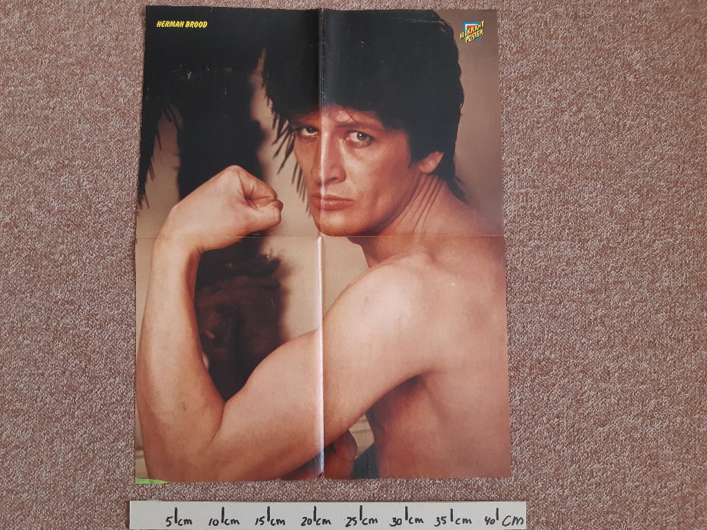 Poster Herman Brood Hitkrant Paul McCartney A2 41x54 cm, Verzamelen, Ophalen of Verzenden, A1 t/m A3, Muziek, Rechthoekig Staand