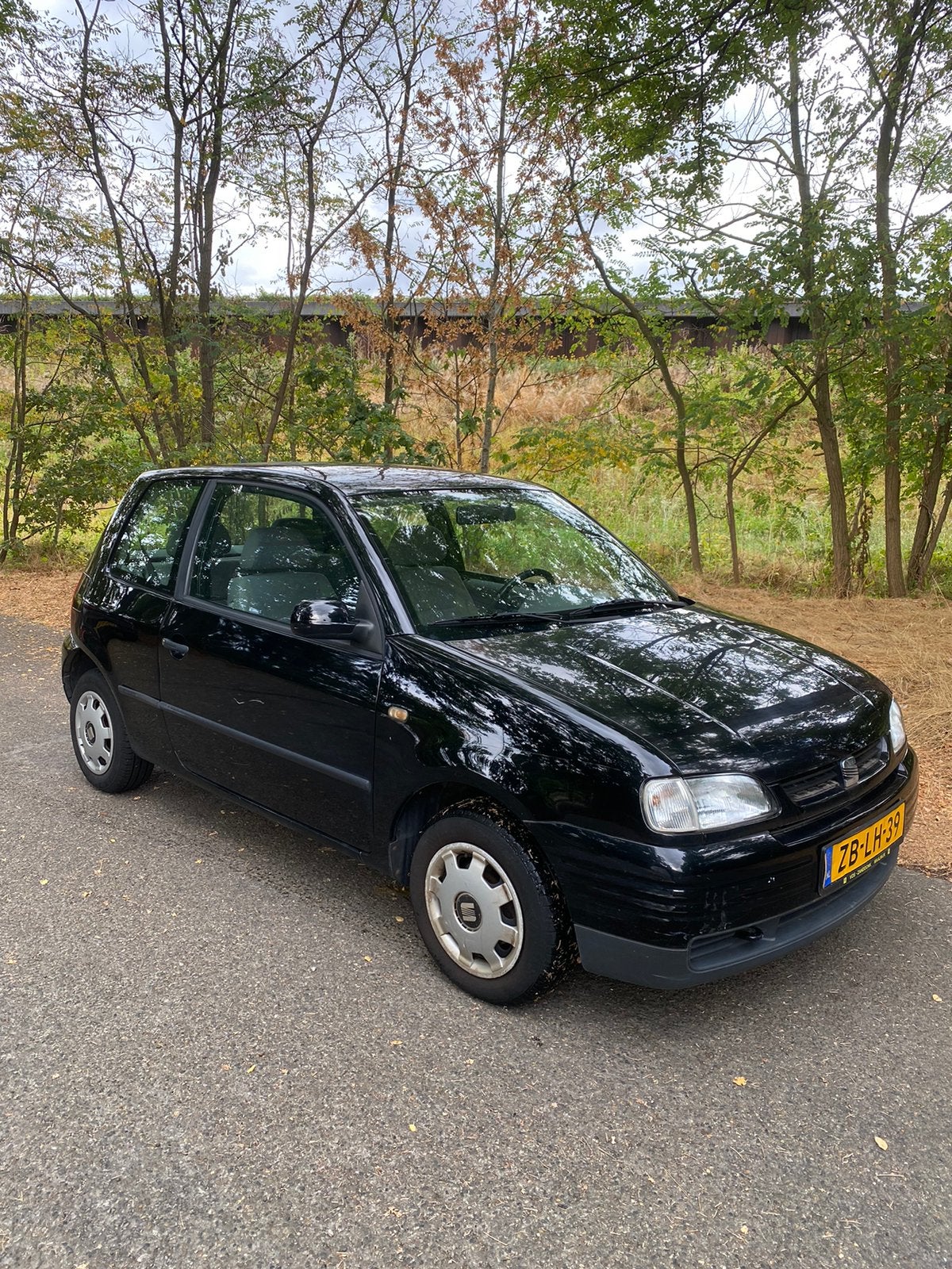 Automaat met airco, Ophalen, Seat