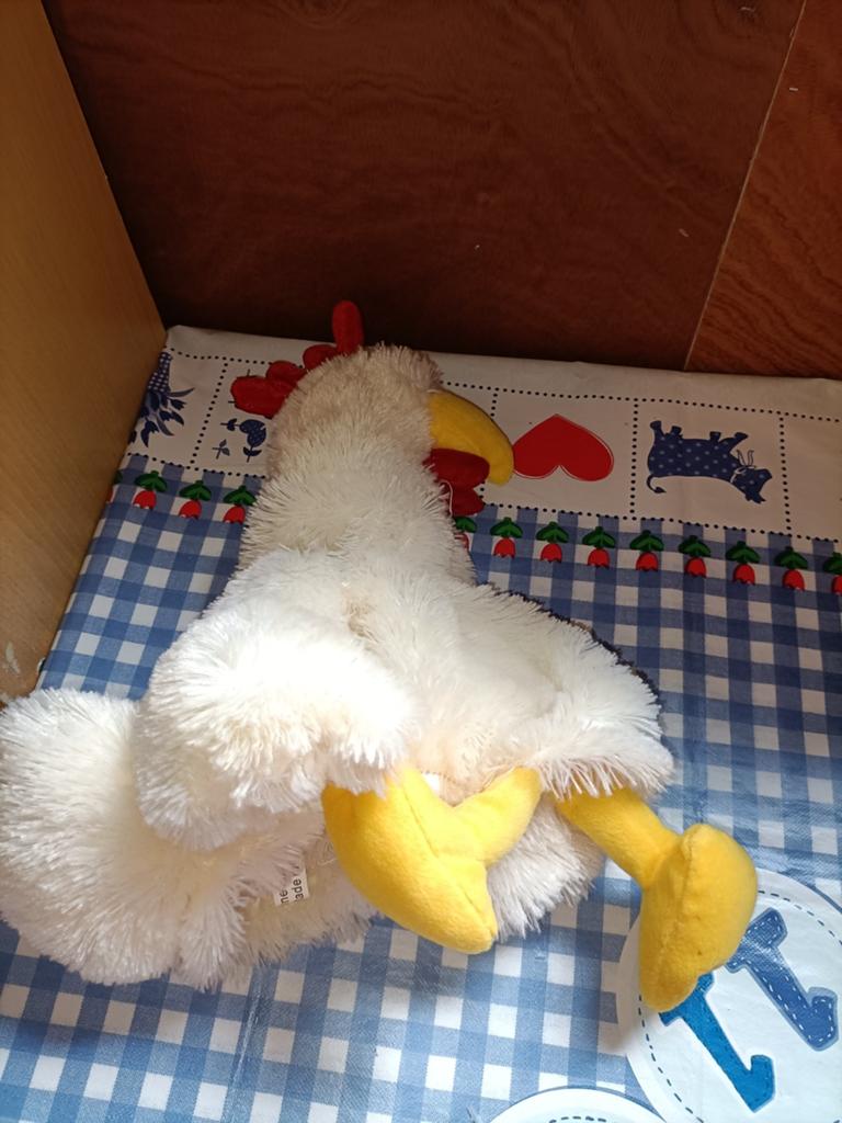Leuke en grappige kip muts one size, Ophalen of Verzenden, Zo goed als nieuw, Meisje, Muts