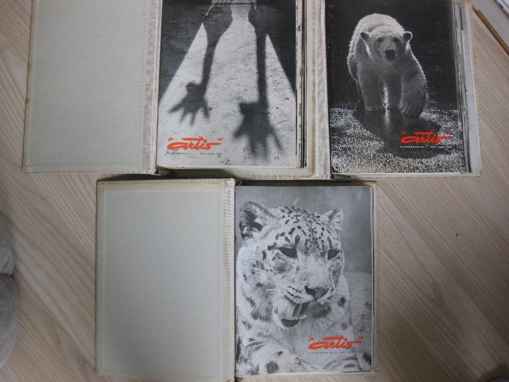 Artis tijdschriften jaargang 1957 t/m 1963 in 3 mappen, Ophalen of Verzenden, Gelezen, Wetenschap en Natuur