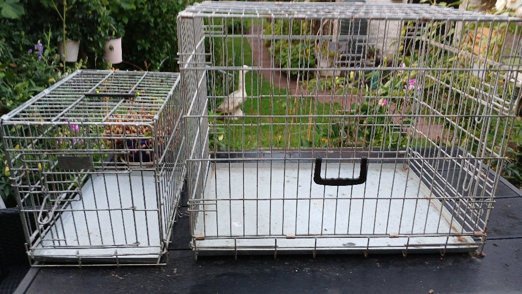 2x HONDENBENCH, Dieren en Toebehoren, Ophalen, Gebruikt