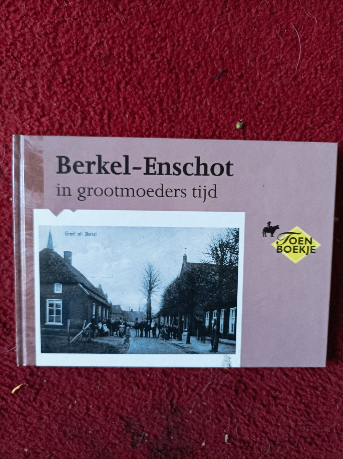 Berkel-Enschot in grootmoeders tijd, Ophalen of Verzenden, Zo goed als nieuw, R van der Loo