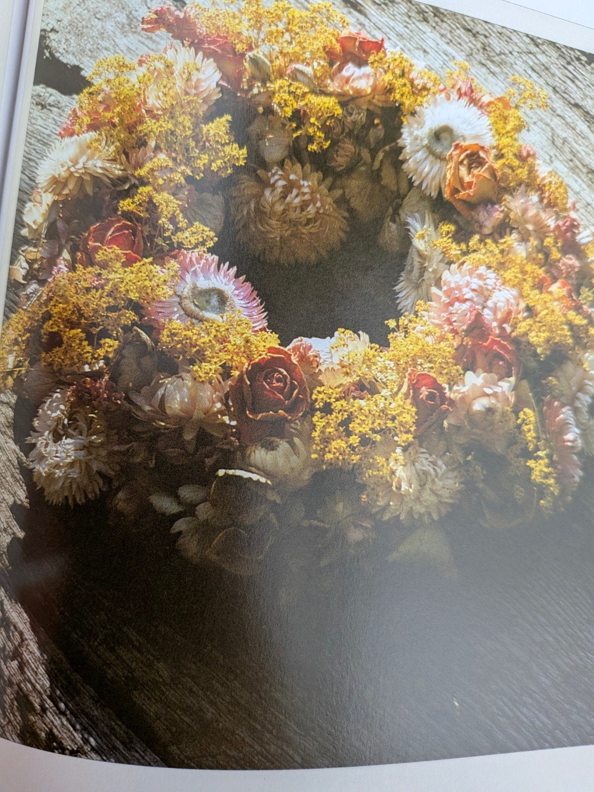 Bloemen Drogen - Pamela Westland, Boeken, Hobby en Vrije tijd, Ophalen of Verzenden, Zo goed als nieuw, Overige onderwerpen, Pamela Westland