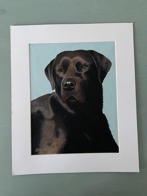 schilderij hond zwarte Labrador. Liz Casling. Gesigneerd., Antiek en Kunst, Ophalen