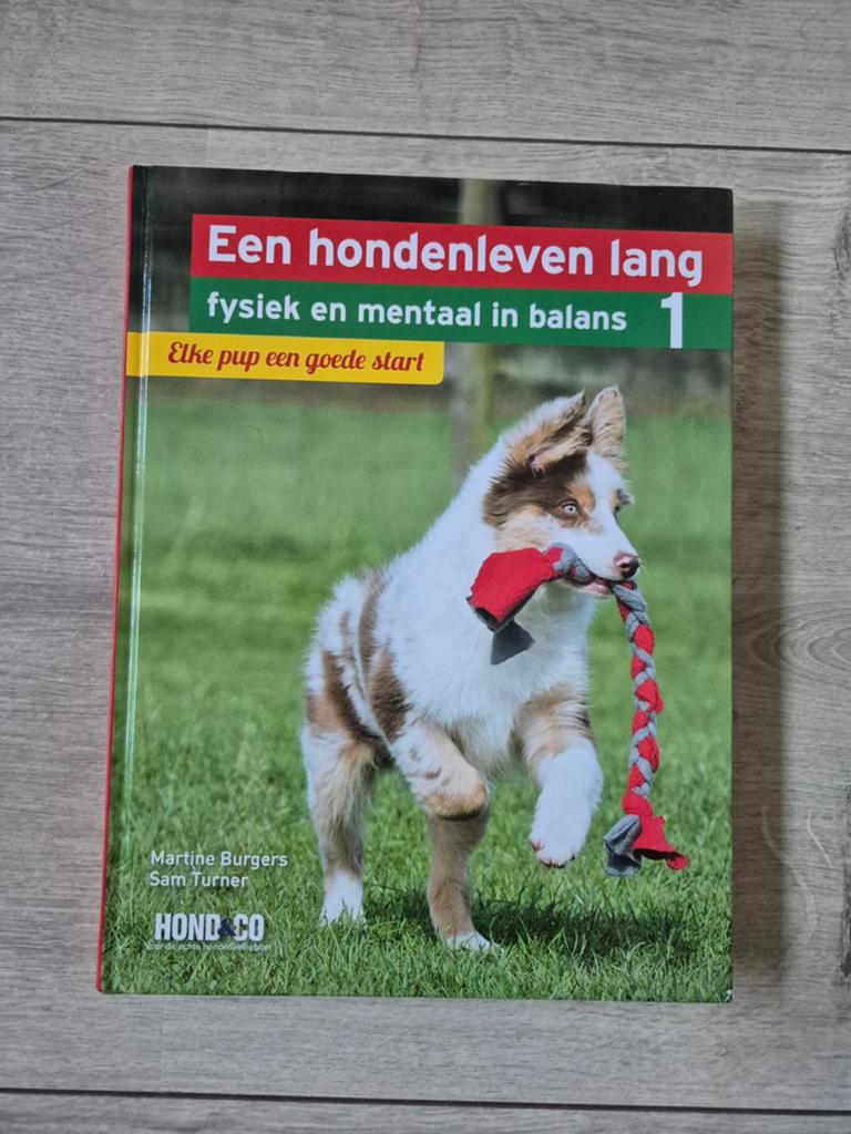 Boek: Elke pup een goede start, Boeken, Ophalen of Verzenden, Zo goed als nieuw, Honden, Martine Burgers, Sam Turner