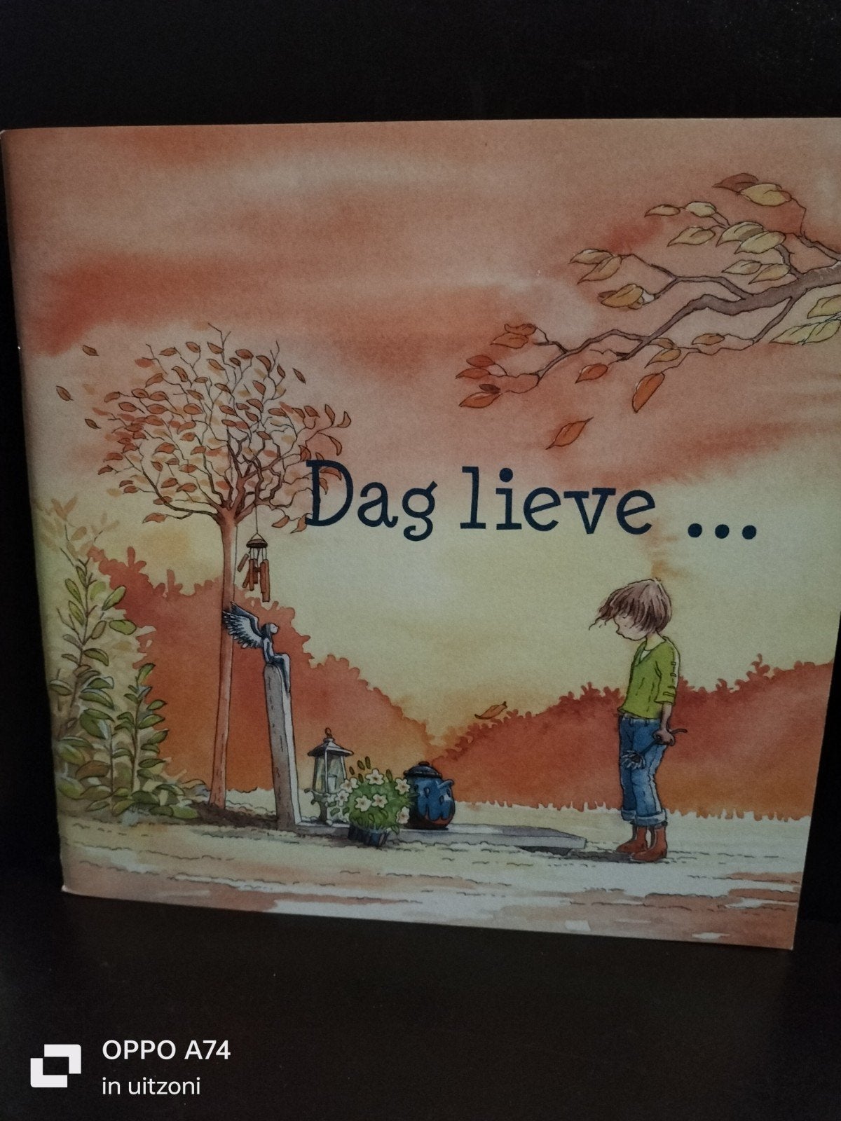 Dag lieve ... - Een boek over afscheid en rouw, Ophalen of Verzenden, Zo goed als nieuw, Onbekend, Nederland