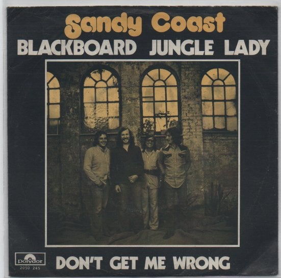 Nederbeat- Sandy Coast- Blackboard Jungle Lady, Gebruikt, 7 inch, Ophalen of Verzenden, Beschermende buitenhoes