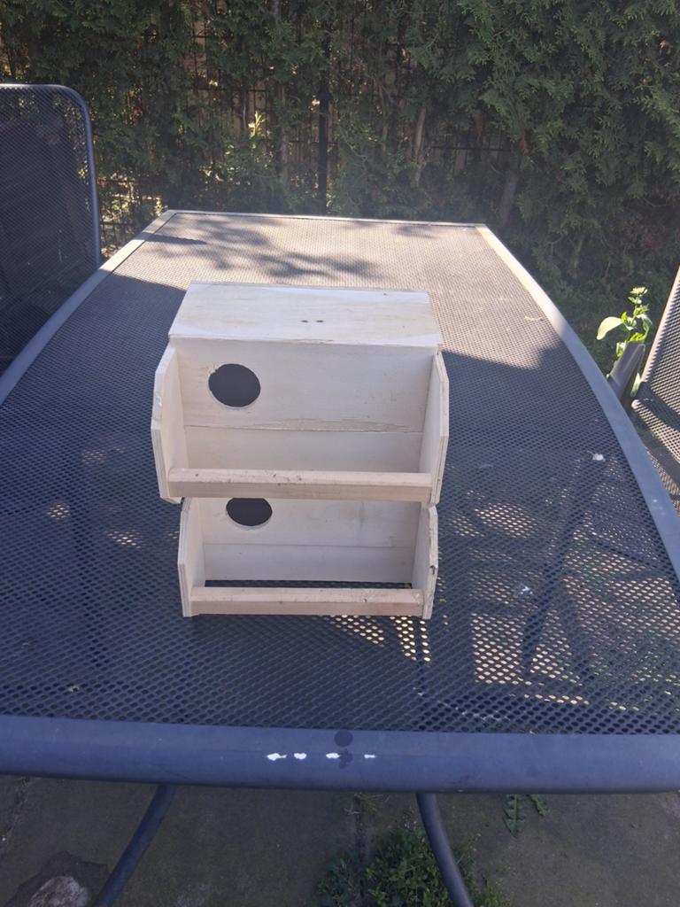 Grasparkieten  BroedBlokken, Meerdere dieren, Parkiet
